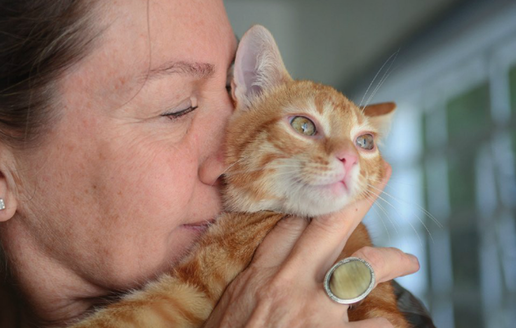Proteção animal, uma causa humana